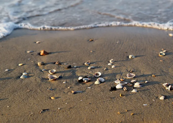 Seaside Flat With Terrace-beahost Апартаменти *