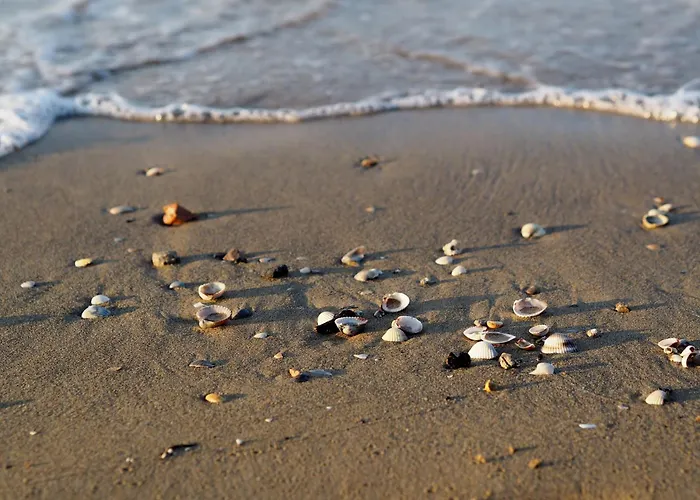 Seaside Flat With Terrace-beahost *